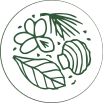 ikona