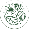 ikona