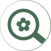 ikona