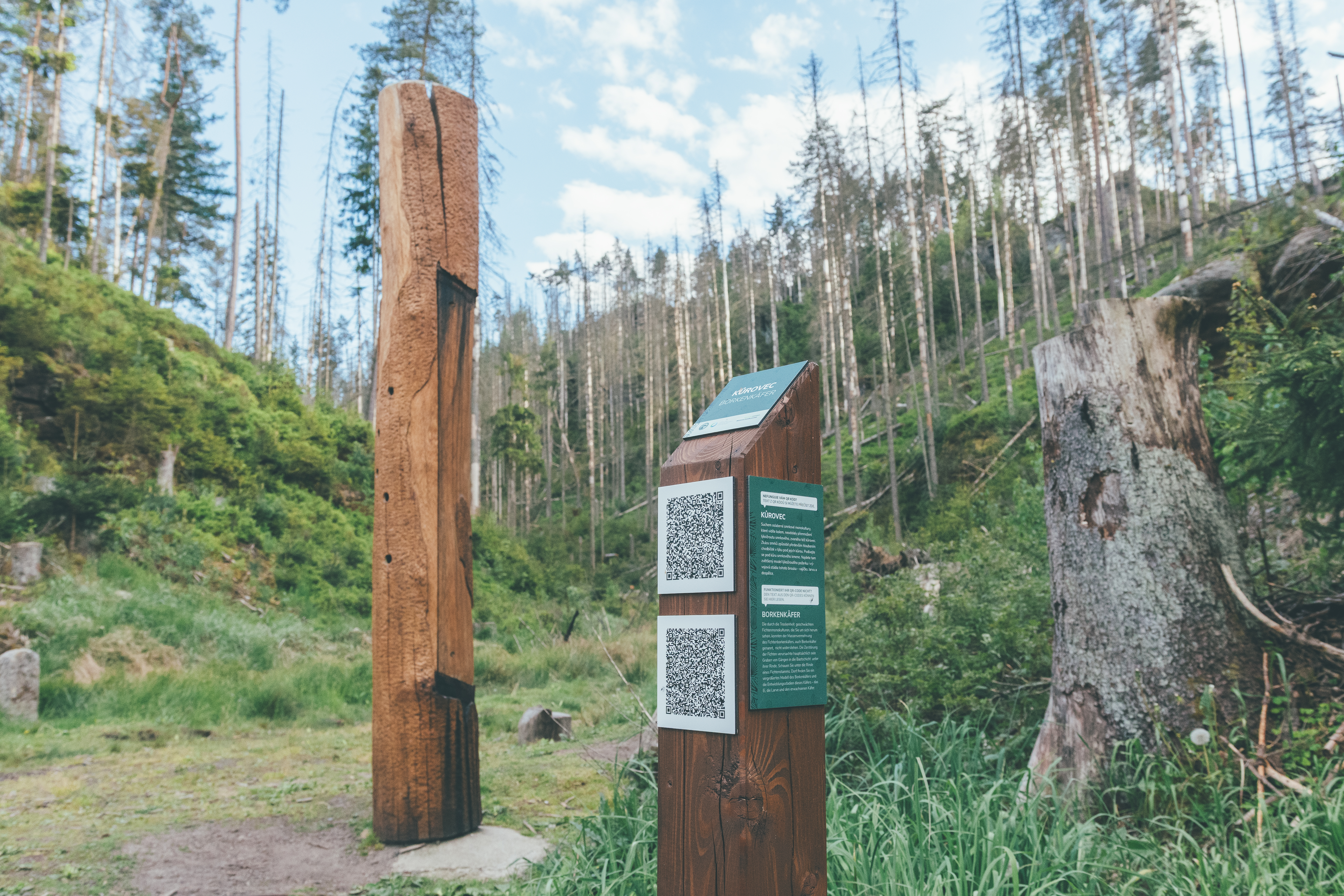 údolím říčky křinice