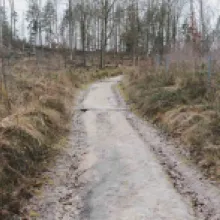 šaunštejn