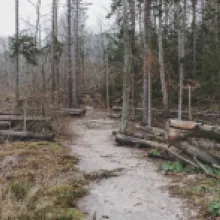 šaunštejn