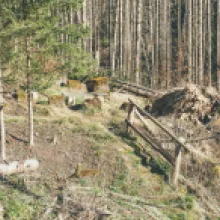 Hadí pramen