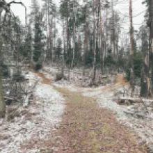 velký pruský tábor