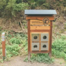 údolím říčky křinice