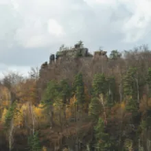 Vilemína