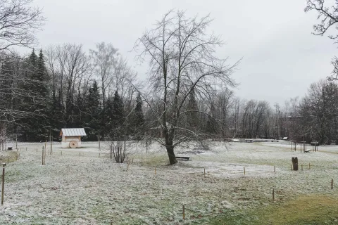 plsikova zahrada