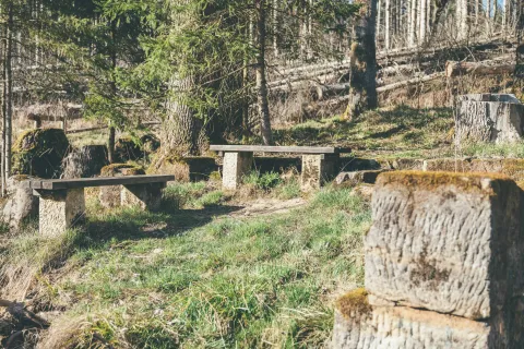 hadí pramen